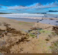 Avenue Beach - Mackay Tourism