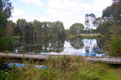 Baldwin Swamp Environmental Park - Mackay Tourism 0