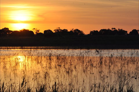Bool Lagoon Game Reserve And Hacks Lagoon Conservation Park - Mackay Tourism 0