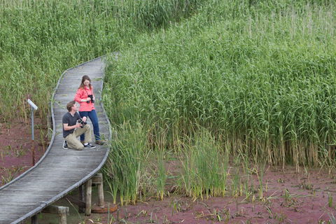 Bool Lagoon Game Reserve And Hacks Lagoon Conservation Park - Mackay Tourism 2