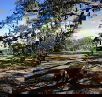 Bowen Mountain Park - Mackay Tourism