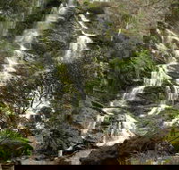 Buddong Falls Walking Track - Mackay Tourism