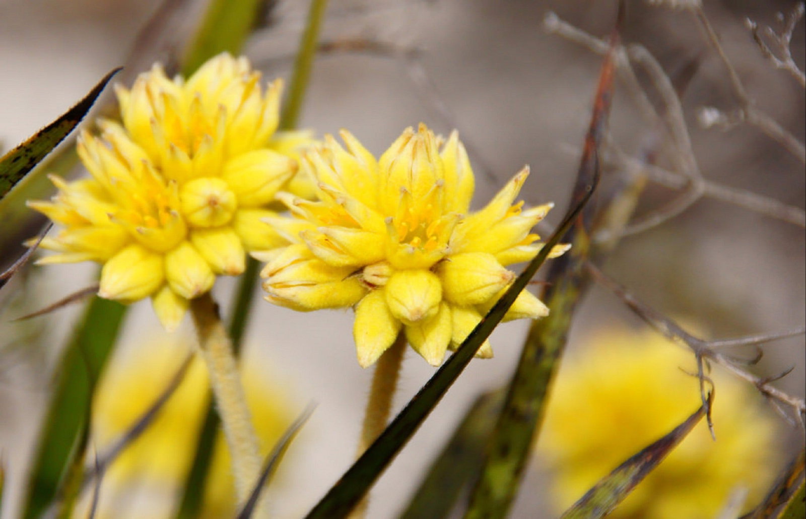 Regans Ford WA Mackay Tourism