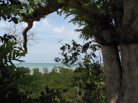 Channel Point Coastal Reserve - Mackay Tourism 0