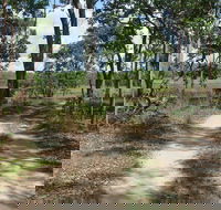 Djukbinj National Park - Mackay Tourism