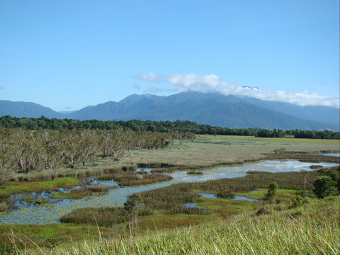 Eubenangee Swamp National Park - Mackay Tourism 0