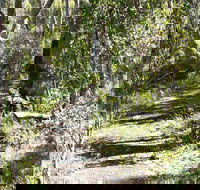 Euglah Rock Walking Track - Mackay Tourism