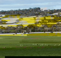Fini Olives - Mackay Tourism