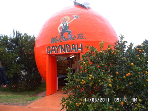 Gayndah's Big Orange - Mackay Tourism 2