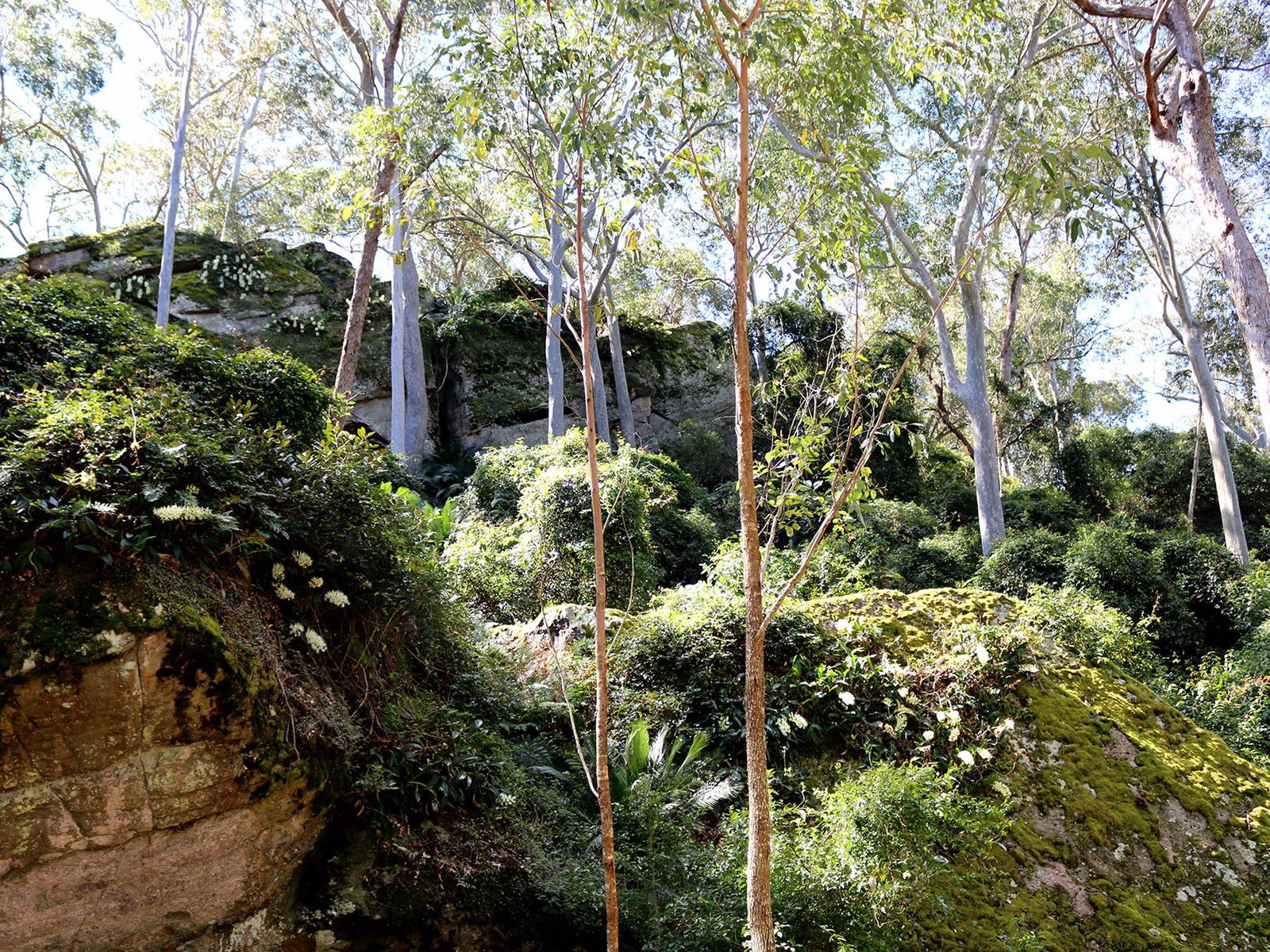 Mackay Tourism