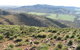 Horseshoe Rim 4WD Adventure Track - thumb 0