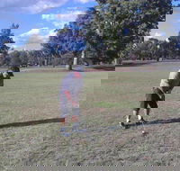Inverell Golf Club - Mackay Tourism