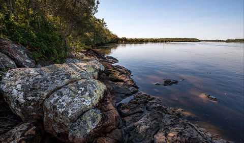 Karuah River National Park And Nature Reserve - Mackay Tourism 2