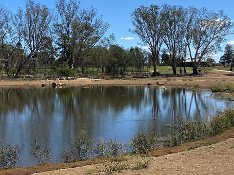 Lake King Wetlands At Rutherglen - Mackay Tourism 0