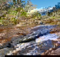 Little Dandahra Creek Walking Track - Mackay Tourism