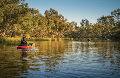 Macquarie Marshes Nature Reserve - Mackay Tourism 0