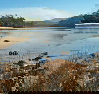 Merrica River Nature Trail - Mackay Tourism