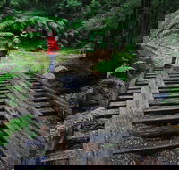 Montezuma Falls - Mackay Tourism