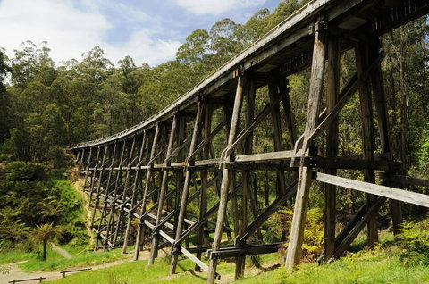 Noojee Trestle Bridge - Mackay Tourism 0