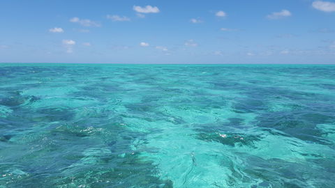 North West Island - Mackay Tourism 1