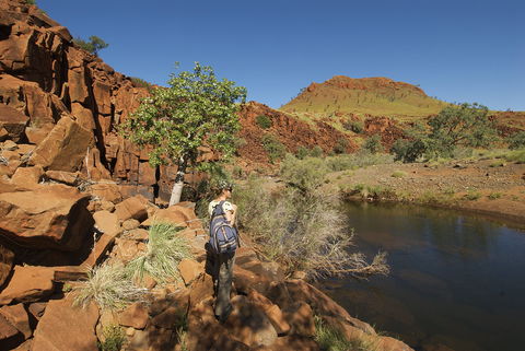 Rail Access Roads - Pilbara - Mackay Tourism 1