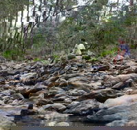 Rocksberg Park Heritage Reserve - Mackay Tourism