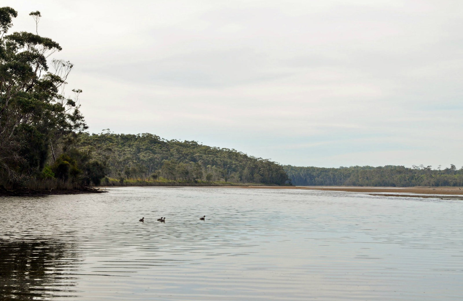 Lake Tabourie NSW Mackay Tourism