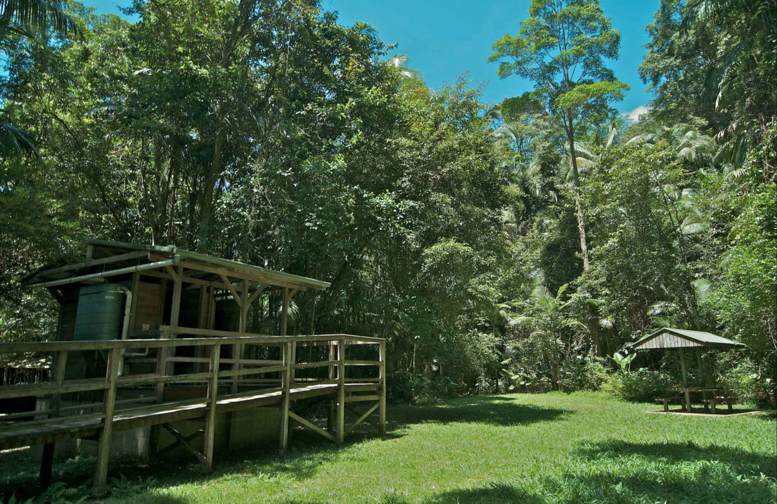 Terania Creek NSW Mackay Tourism