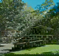 Terania Creek Picnic Area - Mackay Tourism