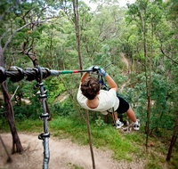 TreeTop Challenge - Mackay Tourism