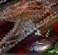 Undara Experience - Mackay Tourism