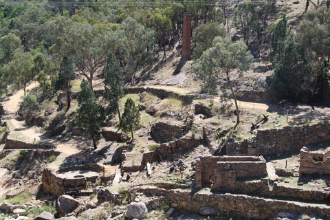 Adelong Falls Gold Mill Ruins - Mackay Tourism 0