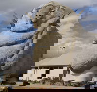 Big Merino - Mackay Tourism