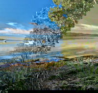 Black Oaks Picnic Area - Mackay Tourism
