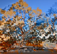 Burke and Wills Dig Tree - Mackay Tourism