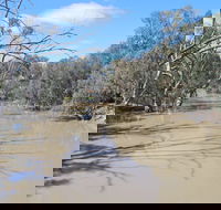 Bush Tucker Trail - Mackay Tourism