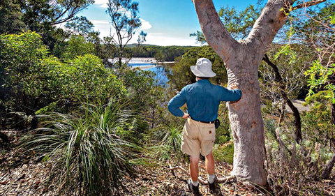 Corkwood And Scribbly Gum Walking Track - Mackay Tourism 0