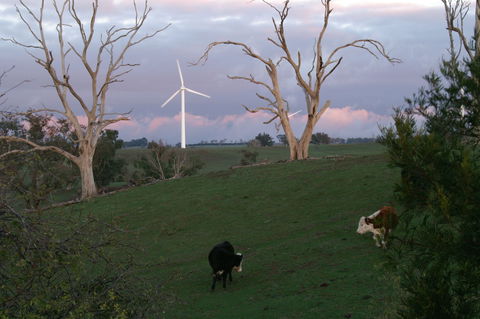 Crookwell Wind Farm - Mackay Tourism 1