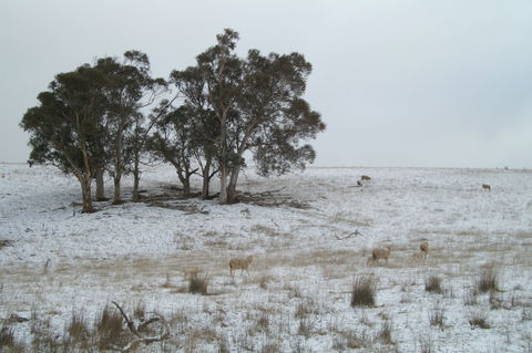 Crookwell Wind Farm - Mackay Tourism 2