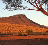 Dutchman Stern Conservation Park Trail - Mackay Tourism