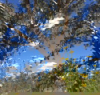 Euroa Arboretum - Mackay Tourism