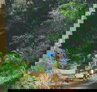 Gloucester National Park - Mackay Tourism