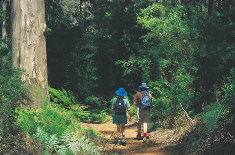 Gloucester National Park - Mackay Tourism 0