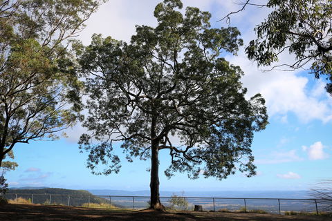 Heaton State Forest - Watagan Mountains - Mackay Tourism 2