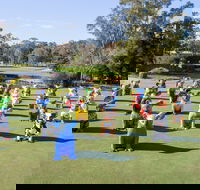 Hello Koalas Sculpture Trail - Mackay Tourism