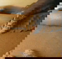 Hermannsburg Potters - Mackay Tourism