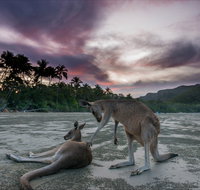 How to Holiday on The Hibiscus Coast with your Family - Mackay Tourism
