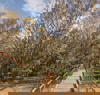 Lachlan River Swing Bridge - Mackay Tourism