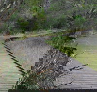 Leschenault Peninsula Conservation Park - Mackay Tourism