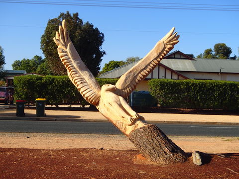 Loxton Tree Sculptures - Mackay Tourism 0